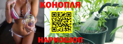 гашик Волгодонск