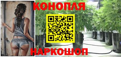гашик Волгодонск