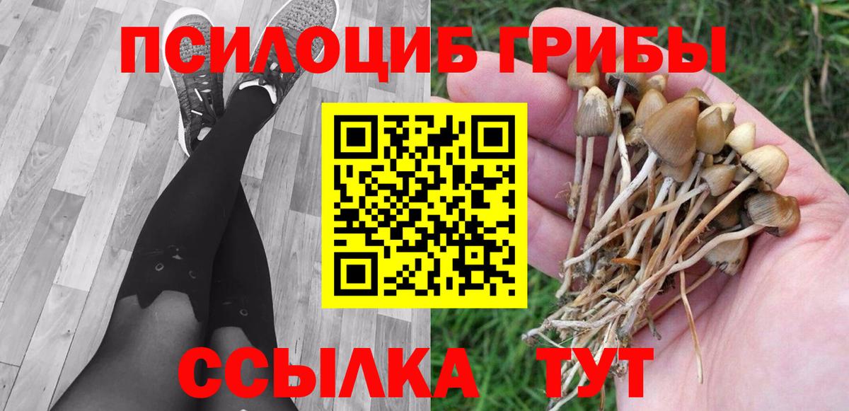 Псилоцибиновые грибы мухоморы  Вход с VPN  Дзержинск 
